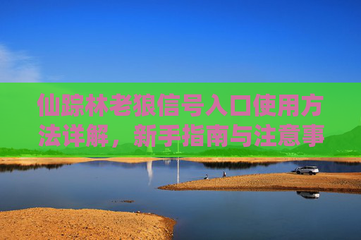 仙踪林老狼信号入口使用方法详解,新手指南与注意事项,仙踪林老狼信号入口新手使用指南与注意事项 仙踪林老狼信号入口使用方法详解,新手指南与注意事项,仙踪林老狼信号入口新手使用指南与注意事项
