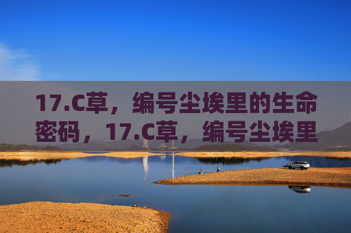 17.C草,编号尘埃里的生命密码,17.C草,编号尘埃里的生命密码 17.C草,编号尘埃里的生命密码,17.C草,编号尘埃里的生命密码