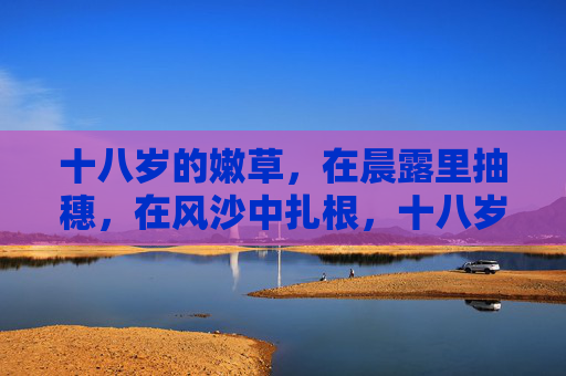 十八岁的嫩草，在晨露里抽穗，在风沙中扎根，十八岁的草，扎根风沙，抽穗晨露