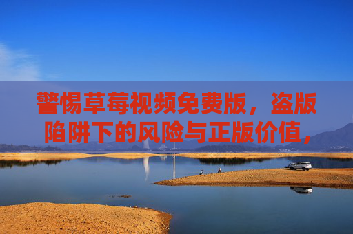 警惕草莓视频免费版，盗版陷阱下的风险与正版价值，警惕草莓视频免费版，盗版陷阱下的风险与正版价值