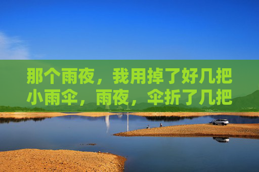 那个雨夜,我用掉了好几把小雨伞,雨夜,伞折了几把 那个雨夜,我用掉了好几把小雨伞,雨夜,伞折了几把