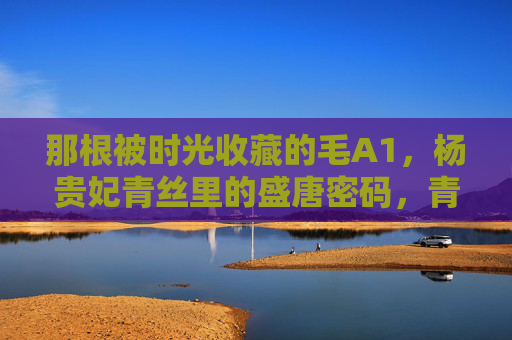 那根被时光收藏的毛A1,杨贵妃青丝里的盛唐密码,青丝藏盛唐,杨贵妃发间的时光密码 那根被时光收藏的毛A1,杨贵妃青丝里的盛唐密码,青丝藏盛唐,杨贵妃发间的时光密码