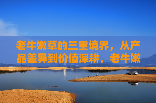 老牛嫩草的三重境界,从产品差异到价值深耕,老牛嫩草三重境,产品差异到价值深耕 老牛嫩草的三重境界,从产品差异到价值深耕,老牛嫩草三重境,产品差异到价值深耕