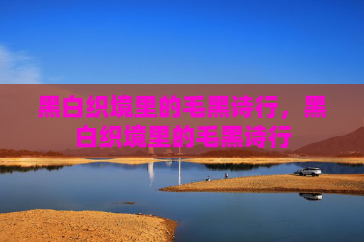 黑白织境里的毛黑诗行,黑白织境里的毛黑诗行 黑白织境里的毛黑诗行,黑白织境里的毛黑诗行