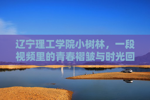 辽宁理工学院小树林,一段视频里的青春褶皱与时光回响,辽宁理工学院小树林,青春褶皱里的时光回响 辽宁理工学院小树林,一段视频里的青春褶皱与时光回响,辽宁理工学院小树林,青春褶皱里的时光回响