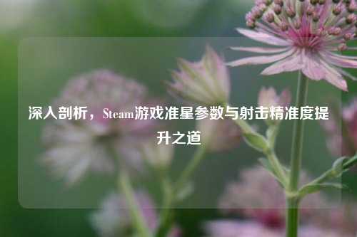 深入剖析，Steam游戏准星参数与射击精准度提升之道