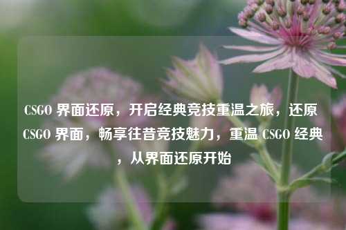 CSGO 界面还原,开启经典竞技重温之旅,还原 CSGO 界面,畅享往昔竞技魅力,重温 CSGO 经典,从界面还原开始