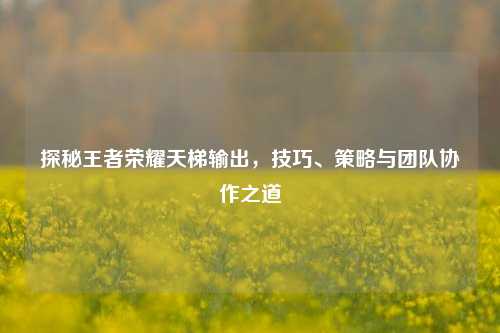 探秘王者荣耀天梯输出,技巧、策略与团队协作之道