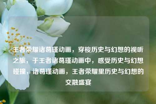 王者荣耀诸葛瑾动画，穿梭历史与幻想的视听之旅，于王者诸葛瑾动画中，感受历史与幻想碰撞，诸葛瑾动画，王者荣耀里历史与幻想的交融盛宴