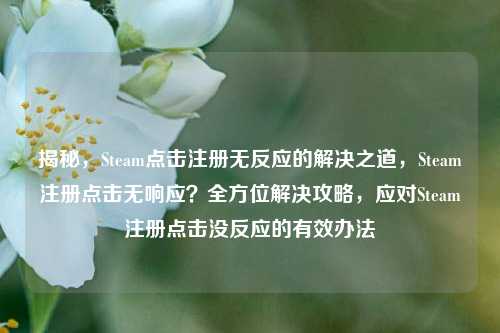 揭秘，Steam点击注册无反应的解决之道，Steam注册点击无响应？全方位解决攻略，应对Steam注册点击没反应的有效办法