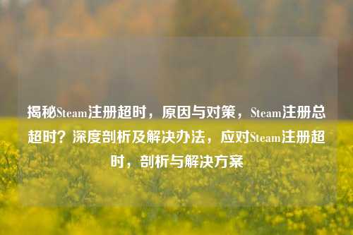 揭秘Steam注册超时，原因与对策，Steam注册总超时？深度剖析及解决办法，应对Steam注册超时，剖析与解决方案