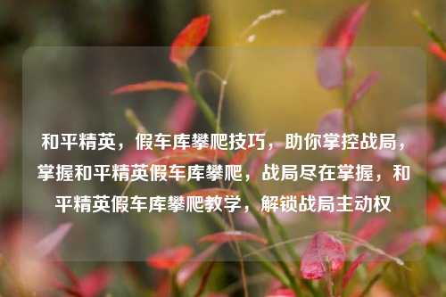 和平精英，假车库攀爬技巧，助你掌控战局，掌握和平精英假车库攀爬，战局尽在掌握，和平精英假车库攀爬教学，解锁战局主动权