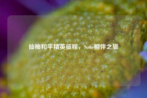仙柚和平精英征程，Sone相伴之旅