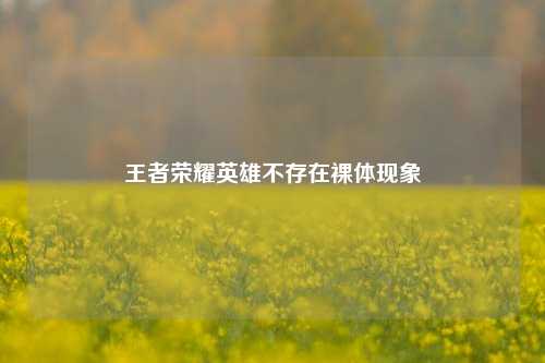 王者荣耀英雄不存在裸体现象