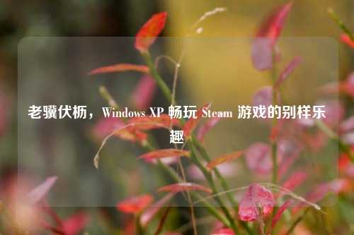 老骥伏枥，Windows XP 畅玩 Steam 游戏的别样乐趣