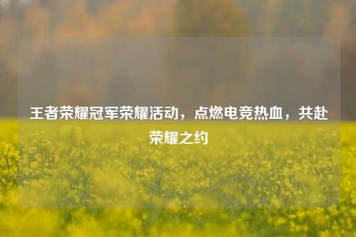 王者荣耀冠军荣耀活动，点燃电竞热血，共赴荣耀之约
