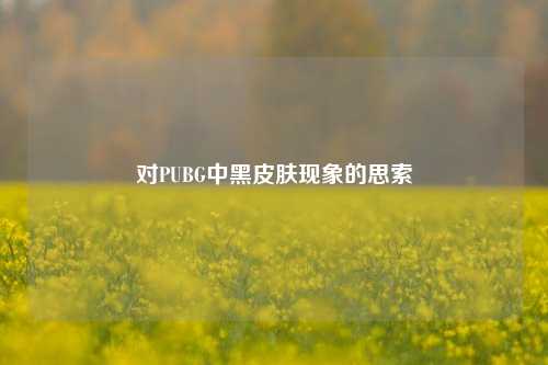 对PUBG中黑皮肤现象的思索