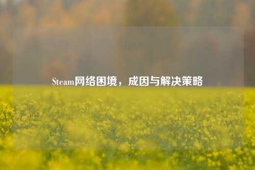 Steam网络困境，成因与解决策略