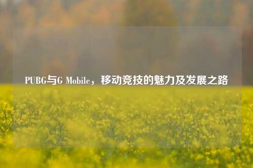 PUBG与G Mobile，移动竞技的魅力及发展之路