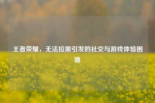 王者荣耀，无法拉黑引发的社交与游戏体验困境