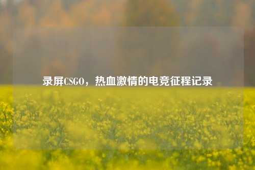 录屏CSGO，热血激情的电竞征程记录