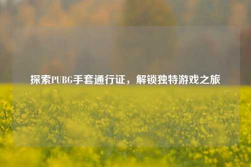 探索PUBG手套通行证，解锁独特游戏之旅