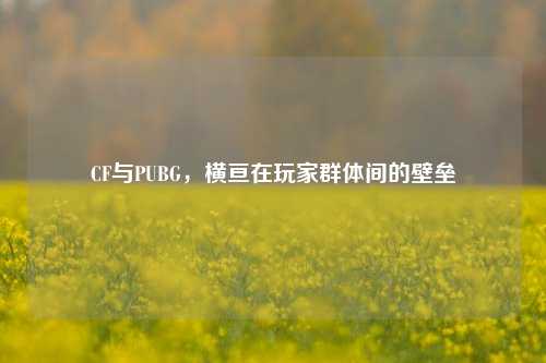 CF与PUBG,横亘在玩家群体间的壁垒