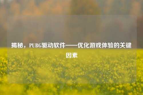 揭秘，PUBG驱动软件——优化游戏体验的关键因素