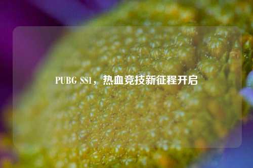 PUBG SS1,热血竞技新征程开启