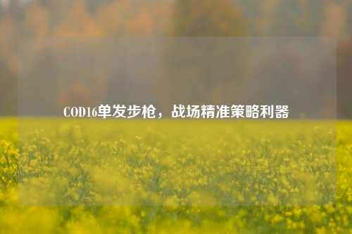 COD16单发步枪，战场精准策略利器
