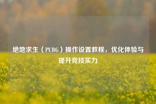 绝地求生（PUBG）操作设置教程，优化体验与提升竞技实力