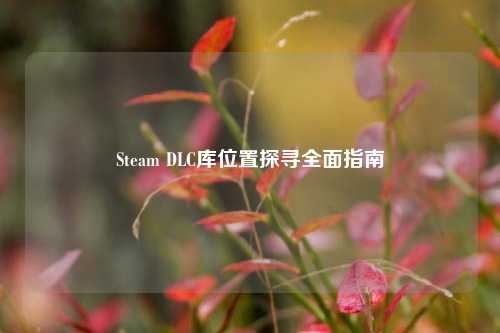 Steam DLC库位置探寻全面指南