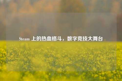 Steam 上的热血格斗，数字竞技大舞台