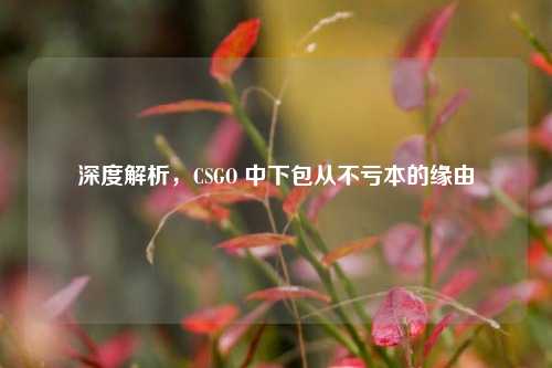 深度解析，CSGO 中下包从不亏本的缘由