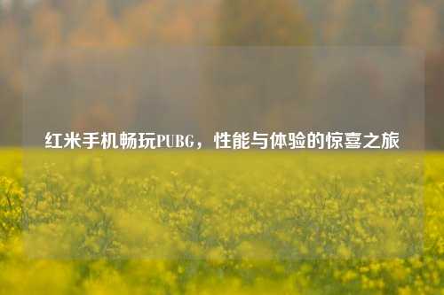 红米手机畅玩PUBG，性能与体验的惊喜之旅