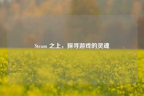 Steam 之上，探寻游戏的灵魂