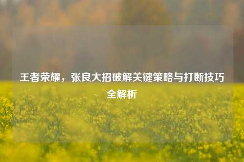 王者荣耀，张良大招破解关键策略与打断技巧全解析