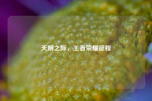 天明之际，王者荣耀征程