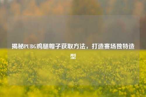 揭秘PUBG鸡腿帽子获取 *** ，打造赛场独特造型
