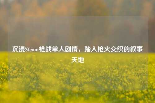 沉浸Steam枪战单人剧情，踏入枪火交织的叙事天地