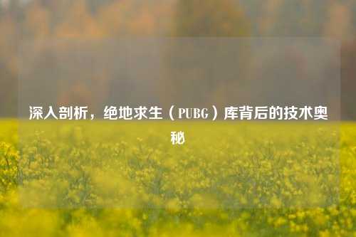 深入剖析，绝地求生（PUBG）库背后的技术奥秘