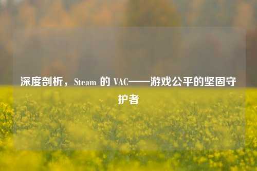 深度剖析，Steam 的 VAC——游戏公平的坚固守护者