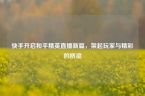 快手开启和平精英直播新篇，架起玩家与精彩的桥梁