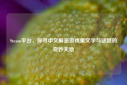 Steam平台，探寻中文解密游戏里文字与谜题的奇妙天地