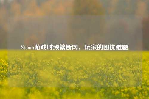 Steam游戏时频繁断网，玩家的困扰难题