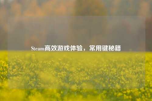 Steam高效游戏体验，常用键秘籍