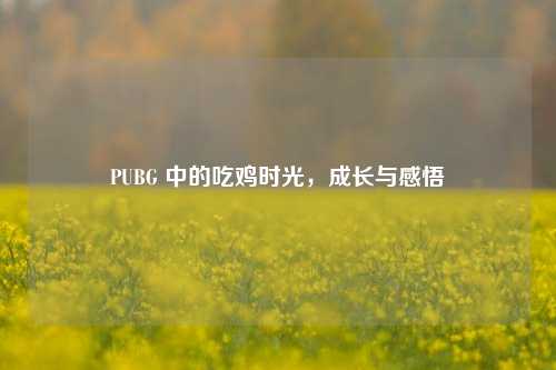 PUBG 中的吃鸡时光，成长与感悟