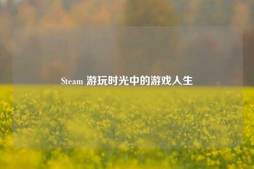 Steam 游玩时光中的游戏人生