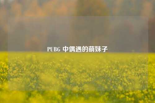 PUBG 中偶遇的萌妹子