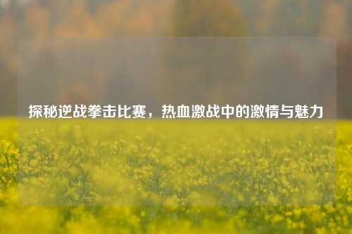 探秘逆战拳击比赛，热血激战中的***与魅力